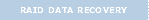 Raid Data Recovery